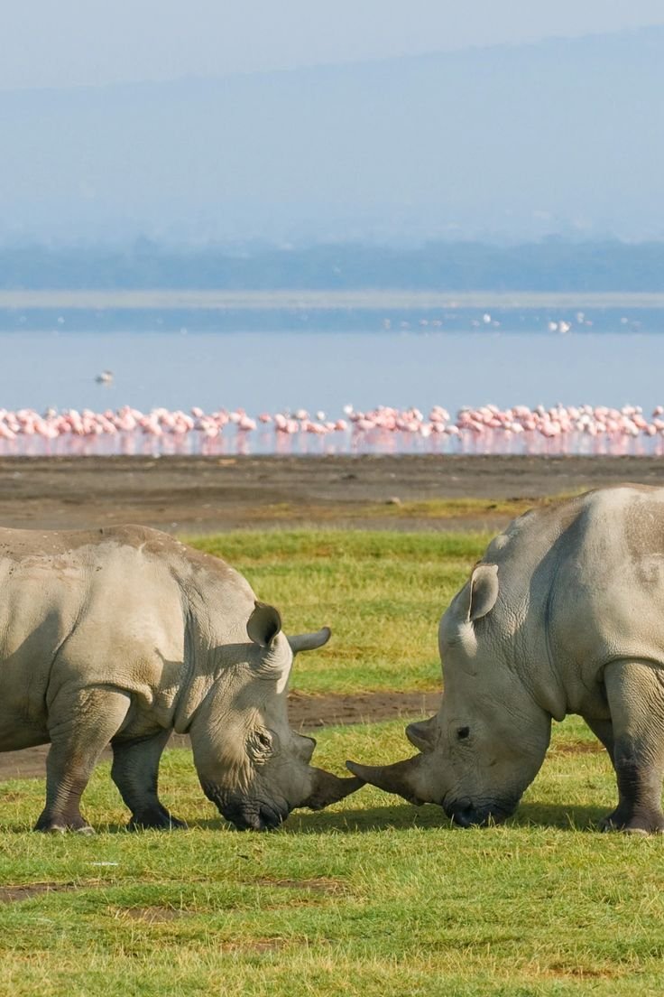 Nakuru