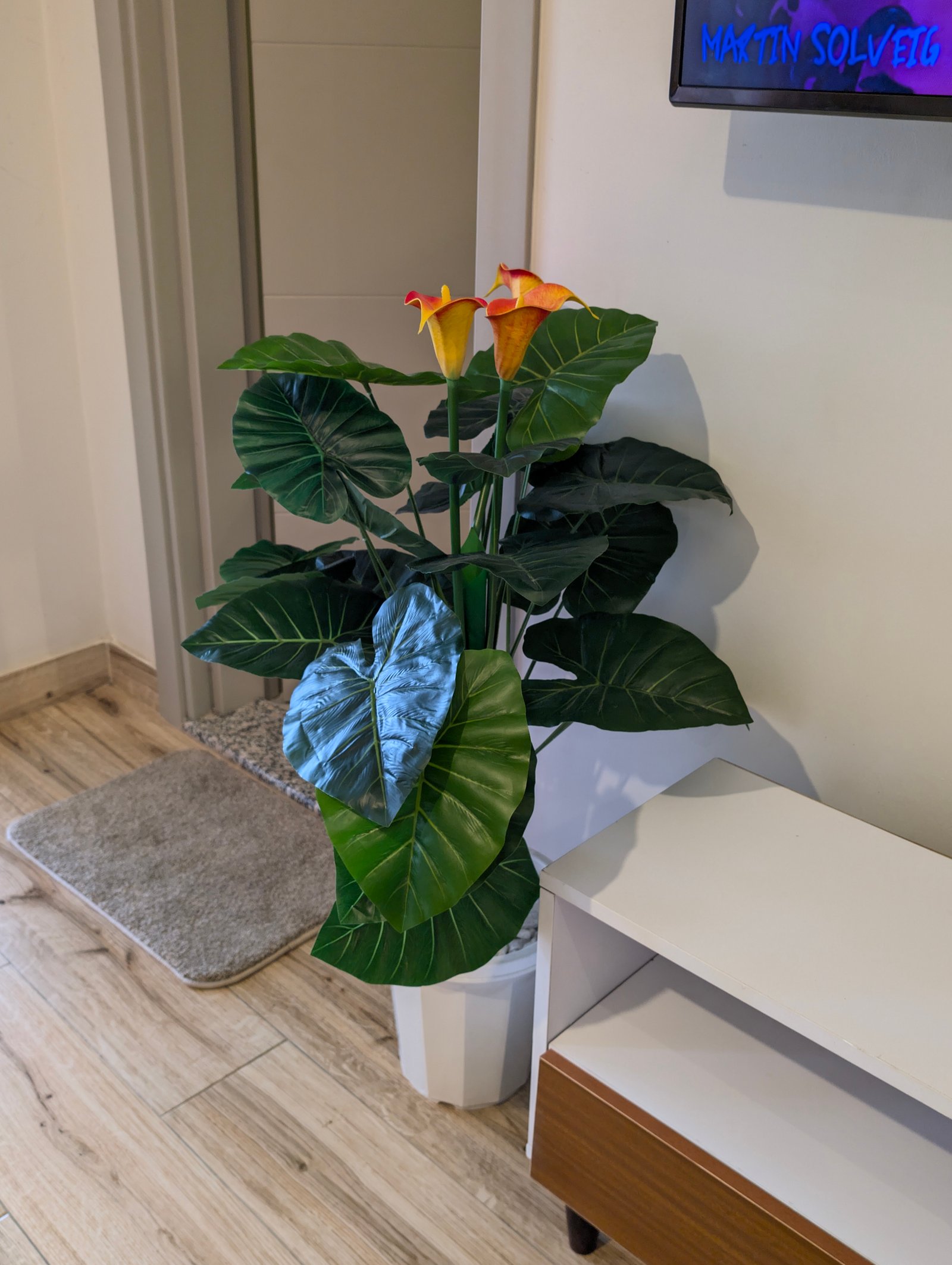 City Escape 1 Bedroom Apartment